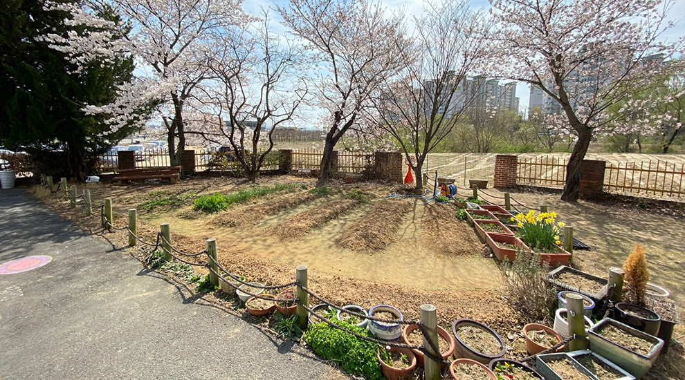 텃밭